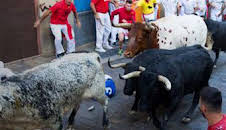 Vive San Fermín: Episodio 4