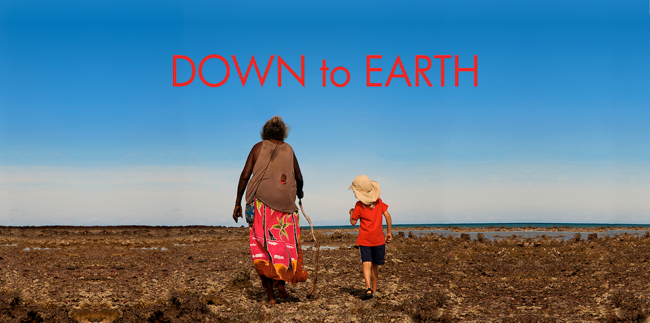 Down to Earth (2017)