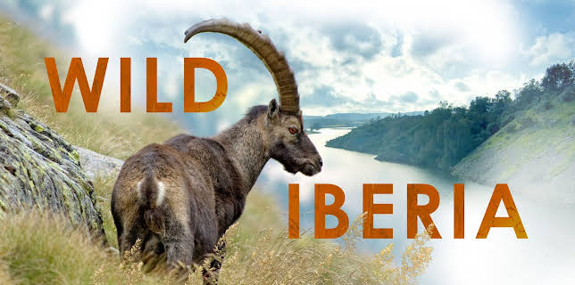 Wild Iberia