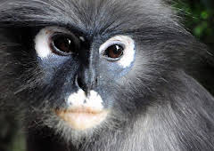 Thailand: Earth's Tropical Paradise