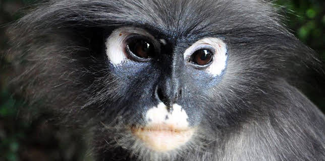 7:00 PM: Thailand: Earth's Tropical Paradise | BBC Four | 1/7 2026
