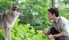 Der Ranger - Paradies Heimat: Wolfsspuren