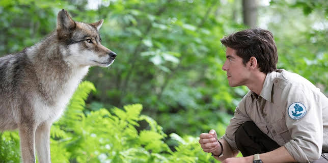 14:03: Der Ranger - Paradies Heimat: Wolfsspuren | Das Erste | 1/18 2026