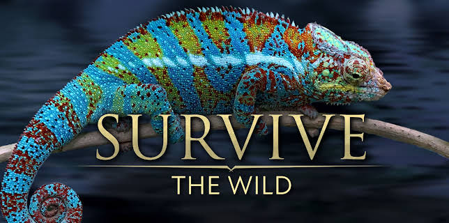 Survive the Wild
