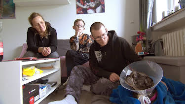 17:05: Hartz Rot Gold (S3 E52) (S3) | RTL 2 | 7/14 2026