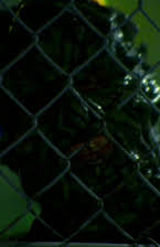 Jason Hopley as Director