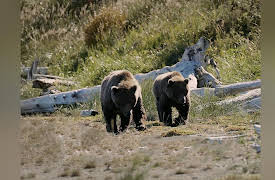 Intruders Season 1: Breaking and Entering