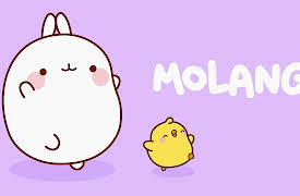 Season 1: The Camel | The Coconut | The Suitcase | The Christmas Tree | The Goldfish | The Beach