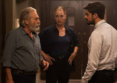 The Turkish Detective