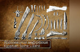 Introduction to Paleontology: Dinosaur Interpretations and Spinosaurus