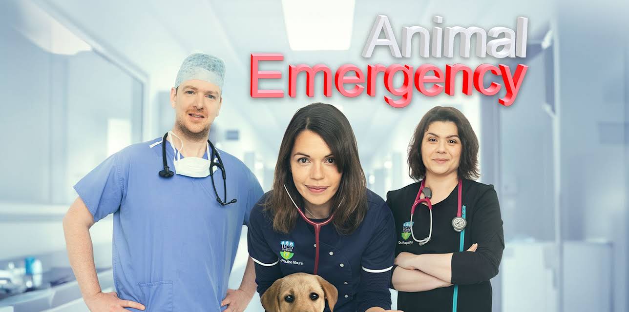 Animal Emergency