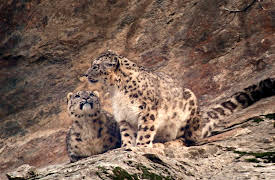 Planet Earth: Episode 2