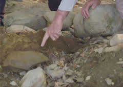 Die Schatzsucher von Oak Island