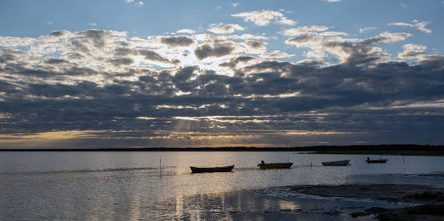 19:40: 360° Reportage | Arte | 3/21 2026