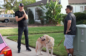 Dog: Impossible: Brink Of Disaster