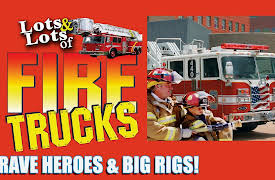Lots & Lots Of: Lots & Lots | Fire Trucks - Brave Heroes & Big Rigs