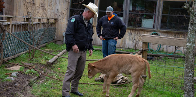 22:00: Lone Star Law  (S5 E1) (S5) | Animal Planet | 2/11 2026
