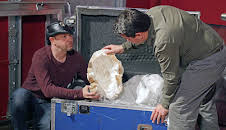 In Search Of Monsters (S1 E10)