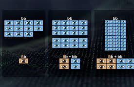 Understanding the Misconceptions of Science: Humans Are Not Peas: Myths about Genetics