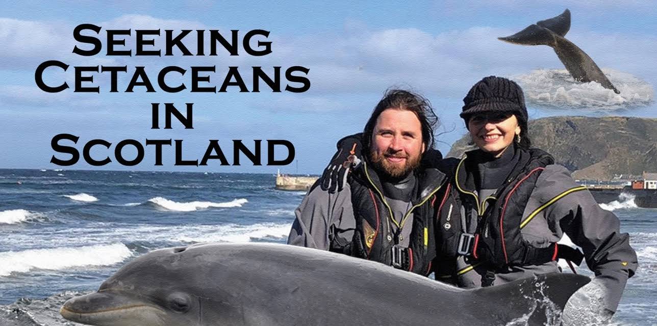 Seeking Cetaceans in Scotland (2021)