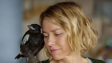 23:45: Beflügelt - Ein Vogel namens Penguin Bloom | BR Fernsehen | 4/4 2026