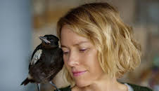 Beflügelt - Ein Vogel namens Penguin Bloom