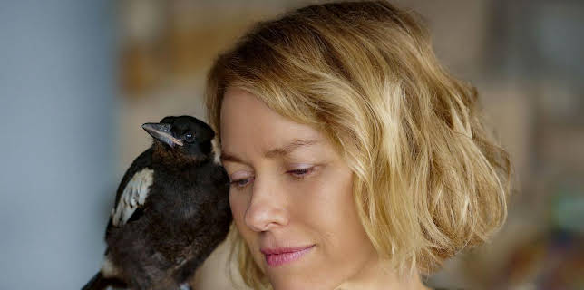 20:15: Beflügelt - Ein Vogel namens Penguin Bloom | One | 12/22 2025