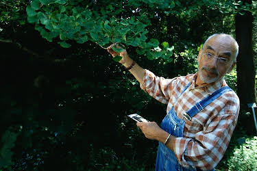 06:45: Löwenzahn Classics | ZDFneo | 3/30 2026