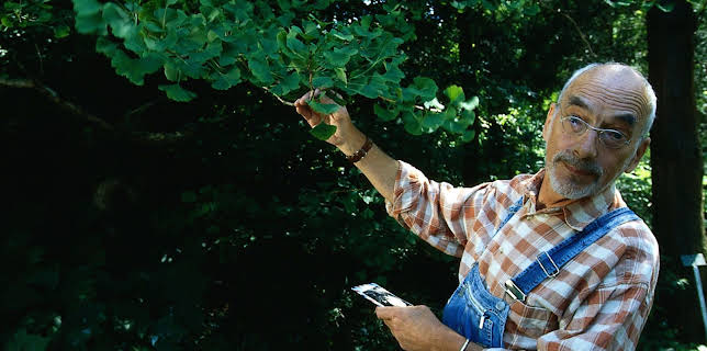 08:20: Löwenzahn Classics | ZDFneo | 1/8 2026