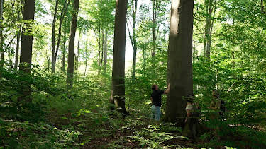 17:15: Hanseblick: Die Uckermark | Radio Bremen | 7/25 2026