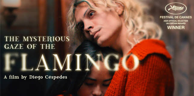The Mysterious Gaze of the Flamingo (2025)