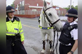 Mounted Branch: Exercising the Horses