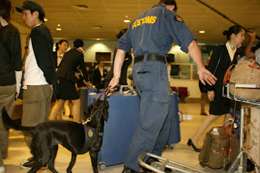 14:35: Border Security (S7 E1) (S7) | Kanal 9 | 4/6 2026