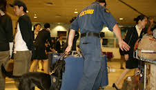 Border Security (S7 E4)