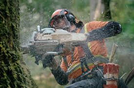 The Last Woodsmen, Season 1: Shut It Down