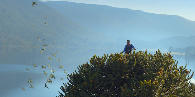 12:45: Patagonia: Life on the Edge of the World (S1 E2) (S1) | TV10 | 2/8 2026