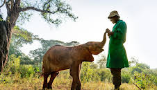 Ein perfekter Planet (5/5)