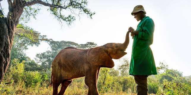 05:05: Ein perfekter Planet (5/5) | 3SAT | 11/6 2025