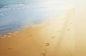 Meteorology: An Introduction to the Wonders of the Weather: Sphericity, Conduction, and Convection