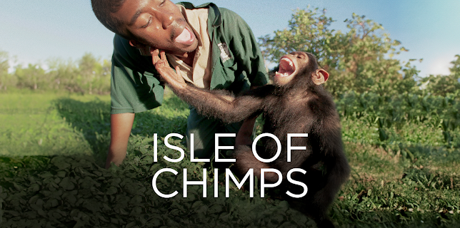 Isle of Chimps (2019)