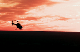 Chopper Cops: Don't Hit My Dog