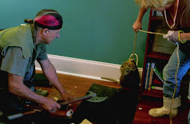 The Legend of Shelby the Swamp Man Season 1: Swamp Rat Race