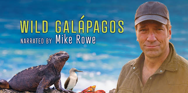 Wild Galapagos
