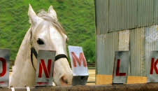 X-Factor: Das Unfassbare (S2 E6)