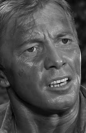 Rayford Barnes as Moss