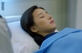 Evergreen: Evergreen Episode 12