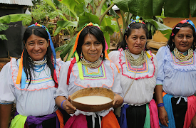 Food- Delicious Science Season 1: Food on the Brain