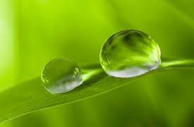 The Origin and Evolution of Earth: From the Big Bang to the Future of Human Existence: Origins of the Oceans