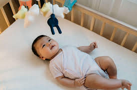 Introduction to Cognitive Science: How Babies Think about the World