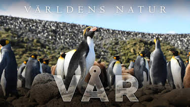 20:00: Världens natur: Vår | Kunskapskanalen | 4/7 2026